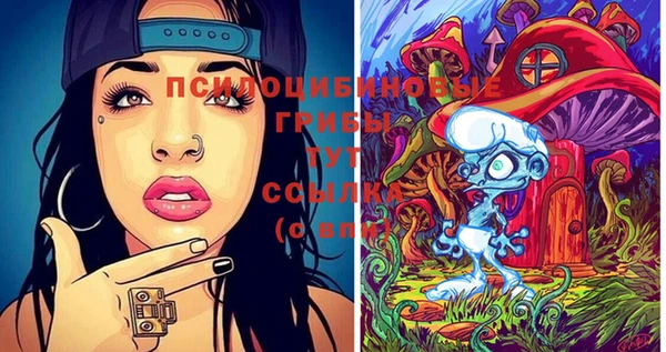бошки Богданович