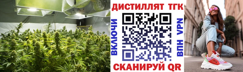 Дистиллят ТГК гашишное масло  Купить где  Алупка 
